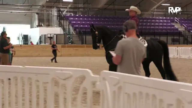 CC26 - Class 75 - Morgan Western Plea...