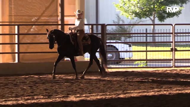 MGN19 - Class 646 Ranch Horse Rail Pl...