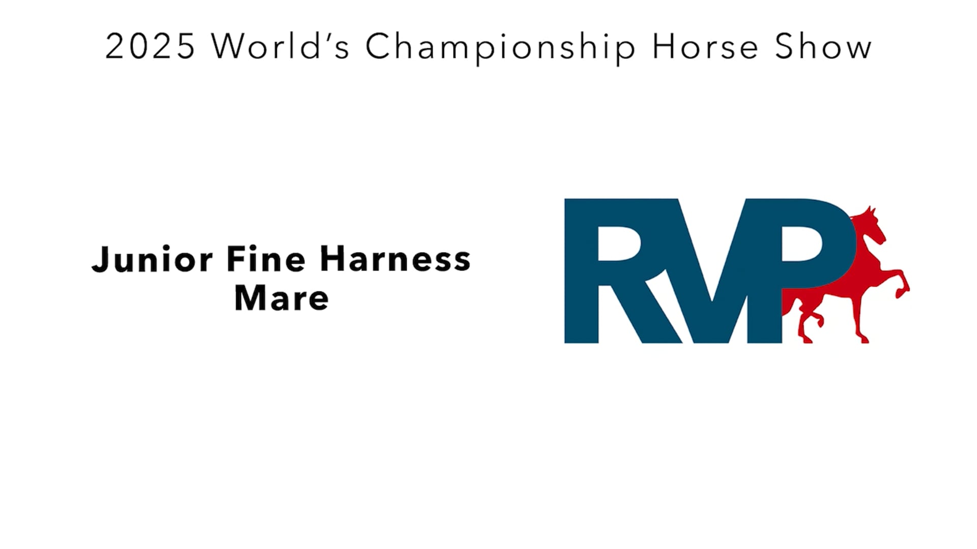 WCHS25 - Class 80 - Junior Fine Harness Mare