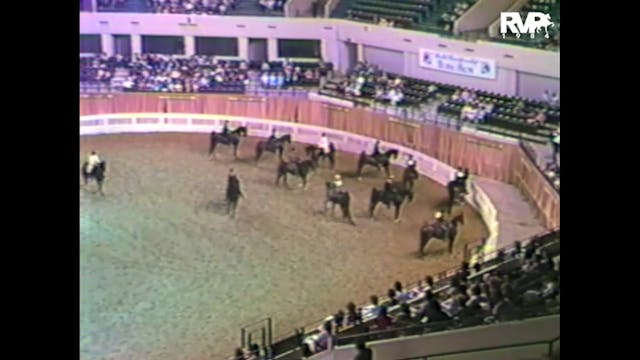 1984 WCHS - Class 76 Amateur Five Gai...