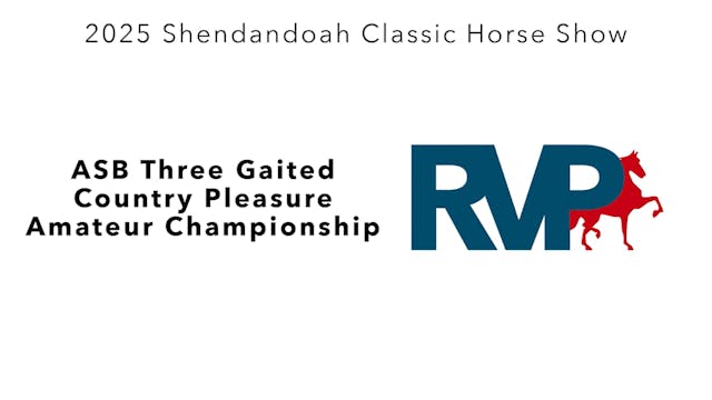 SC25 - Class 88 - ASB Three Gaited Co...