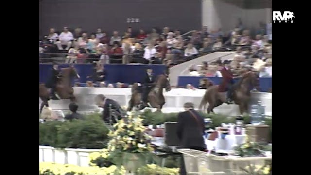 1998 WCHS - Class 160 Five Gaited Sho...