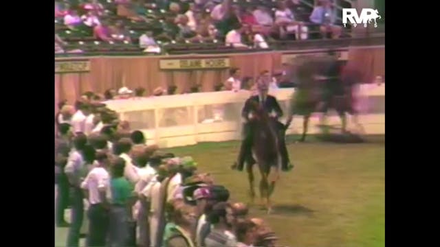 1985 WCHS - Class 122 Two Year Old Th...