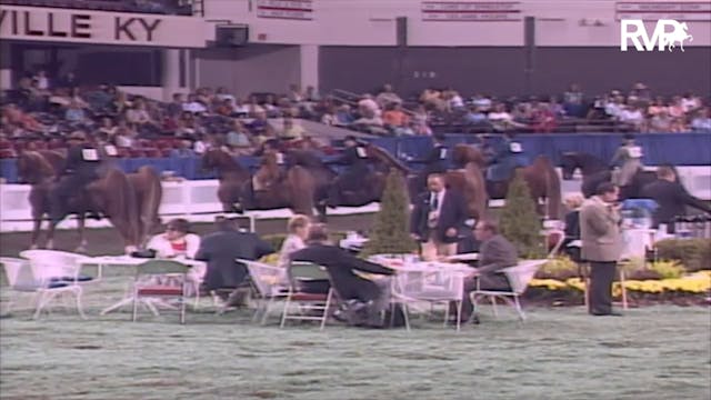 2003 WCHS Class 122 ASB Amateur Park ...