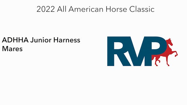 AAC22 - Class 62 -  ADHHA Junior Harn...