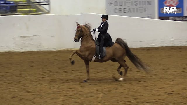 BB22 - Class 57 -  ASB Three Gaited P...