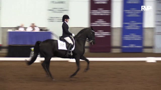 MGN19 - Class 534 - GN Dressage Third...