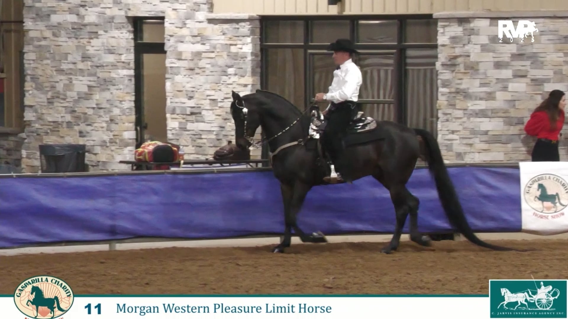 GC25 - Class 11 - Morgan Western Pleasure Limit Horse