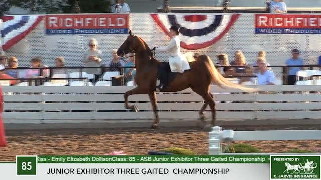2017 RC - Class 85 Junior Exhibitor T...