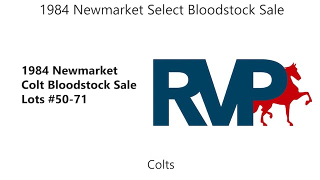 1984 Newmarket Select Bloodstock Sale...