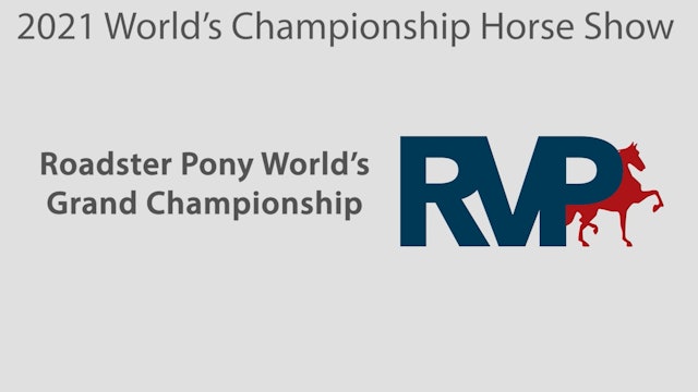 WCHS21 - Class 233 - Roadster Pony World's Grand Championship