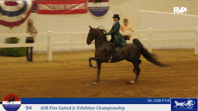 SC24 - Class 94 - ASB FIve Gaited Jr ...