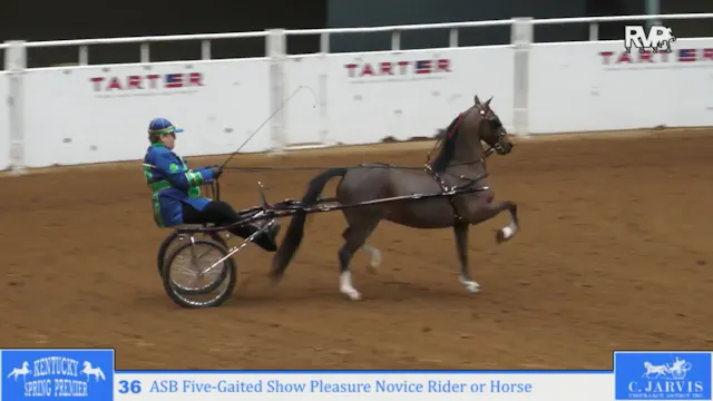 KYSP26 - Class 36 - Amateur Roadster ...