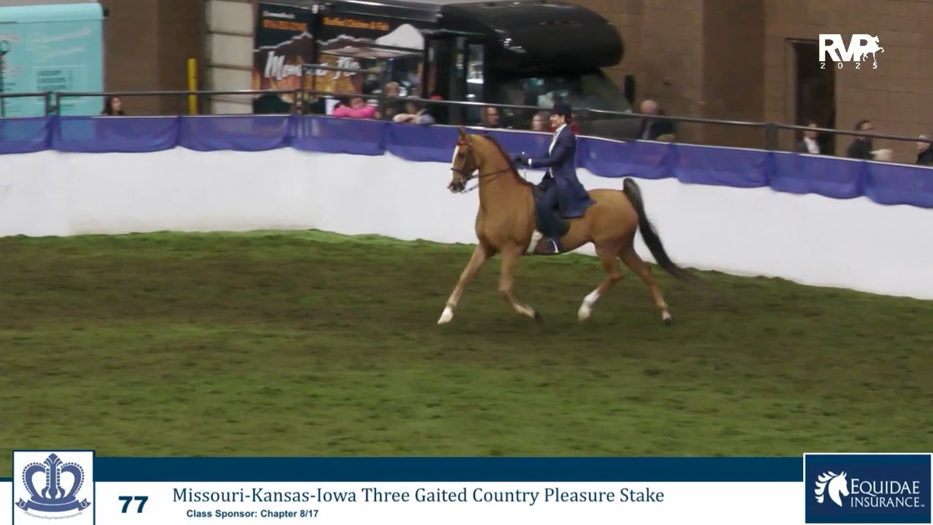 KC25 - Class 77 - Missouri-Kansas-Iowa Three Gaited Country Pleasure Stake