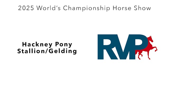 WCHS25 - Class 150 - Hackney Pony Sta...