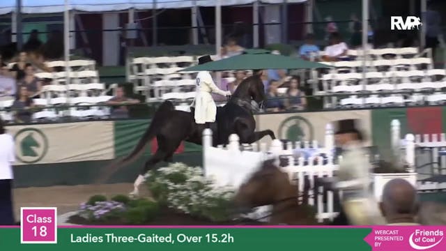 2015 LJL - Class 18 Ladies Three Gait...