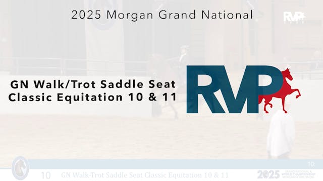 MGN25 - Class 10 - GN Walk-Trot Saddl...