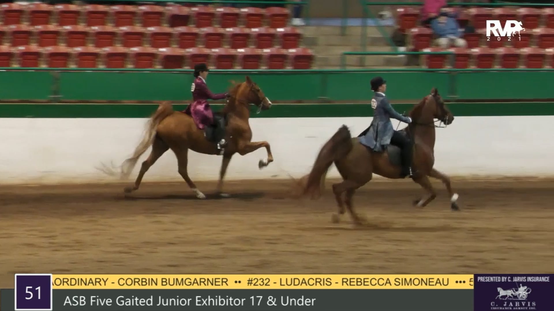 RSP21 - Class 51 - ASB Five Gaited - Junior Exh 17 and Under