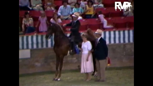 1985 Pin Oak Charity - CH Callaway's ...