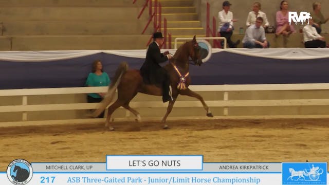 BR24 - Class 217 - ASB Three-Gaited P...