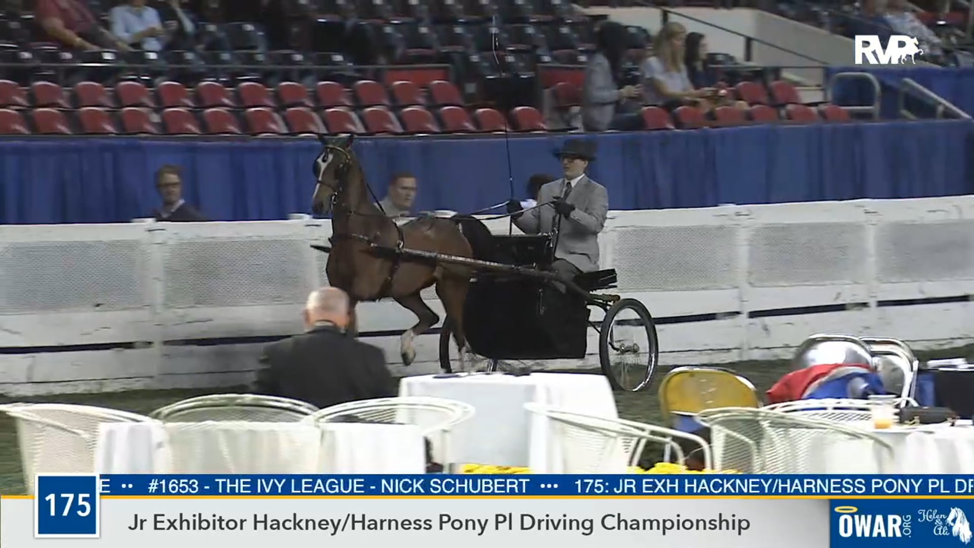 2019 WCHS - Class 175 Junior Exhibitor Hackney:Harness Pony Pleasure Driving Championship
