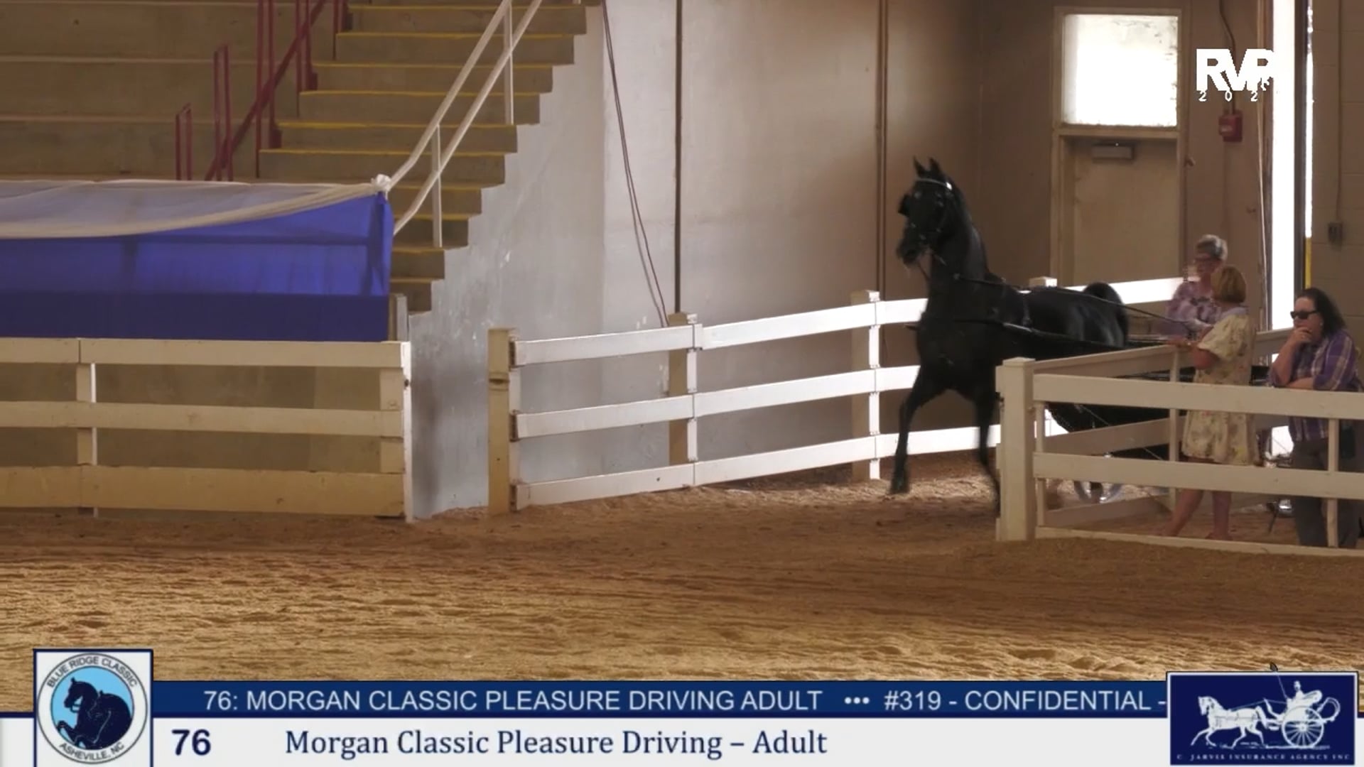 BRC25 - Class 76 -  Morgan Classic Pleasure Driving Adult
