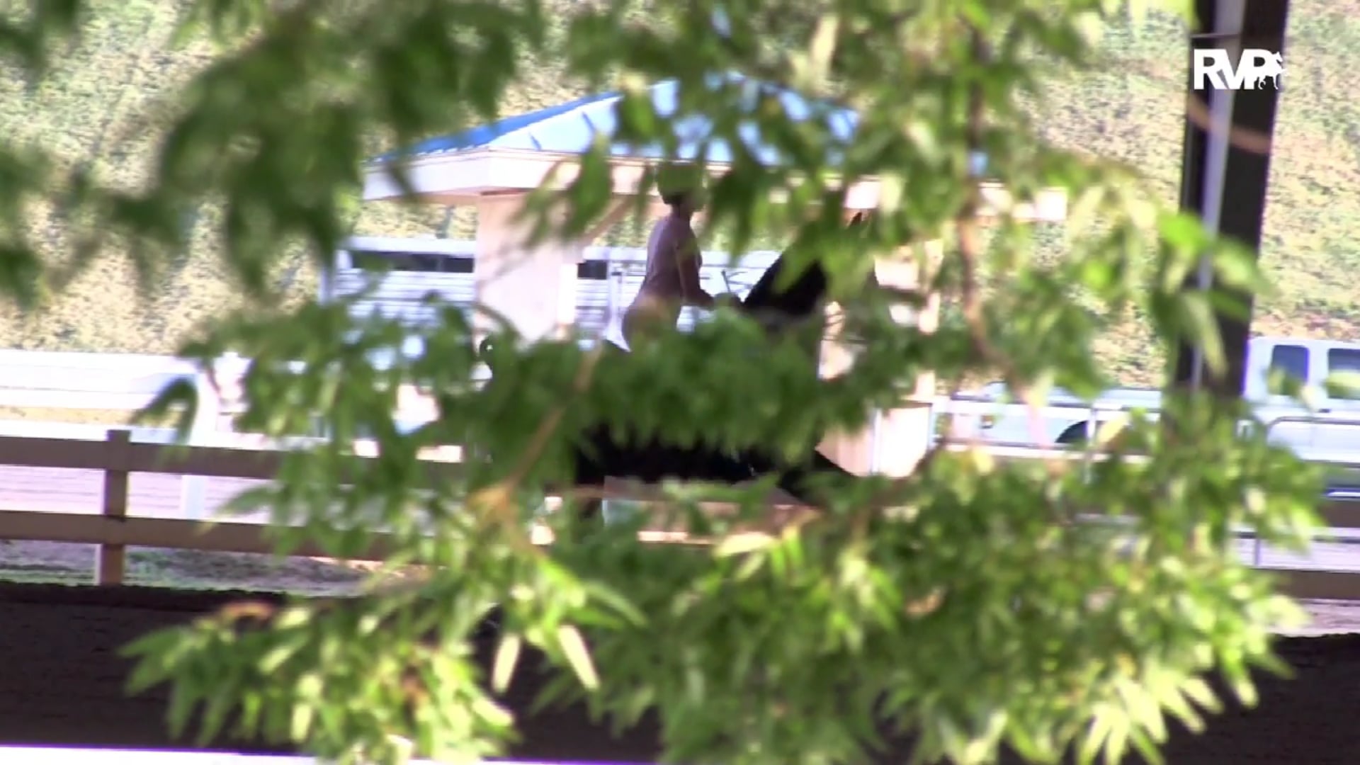 2019 Bonnie Blue National Horse Show - Friday Evening