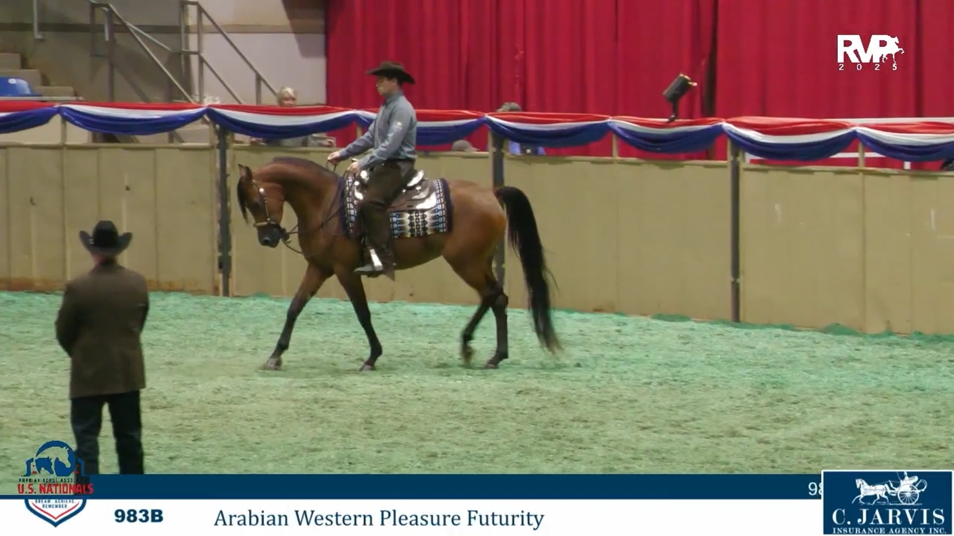 AN25 - Class 983b - Arabian Western Pleasure Futurity - Section B