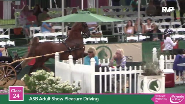 2015 LJL - Class 24 ASB Adult Show Pl...