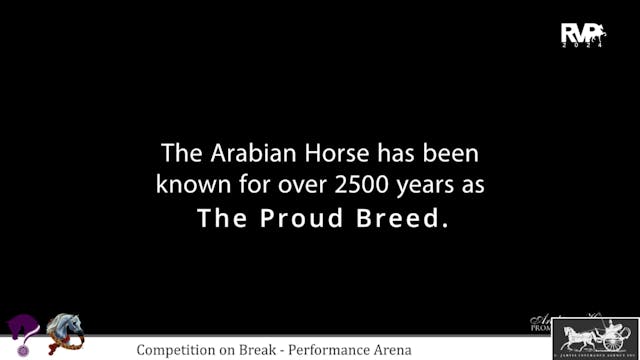 2024 Youth Arabian Nationals - Perfor...