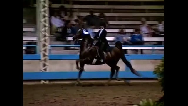 1999 Des Moines Spring Horse Show - J...