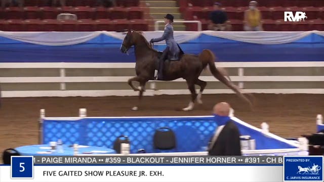 2020 BR - Class 5 Five Gaited Show Pl...