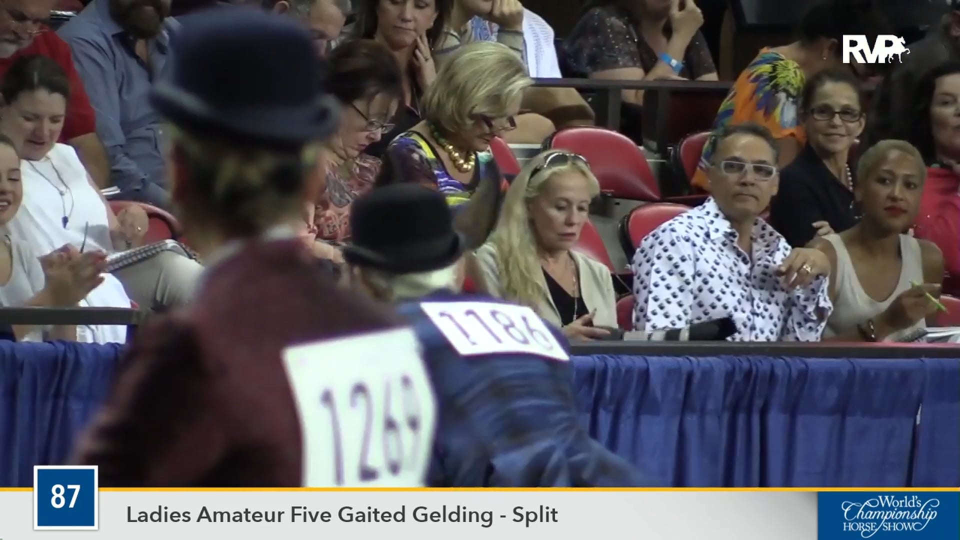 WCHS16 - CH My Wonder