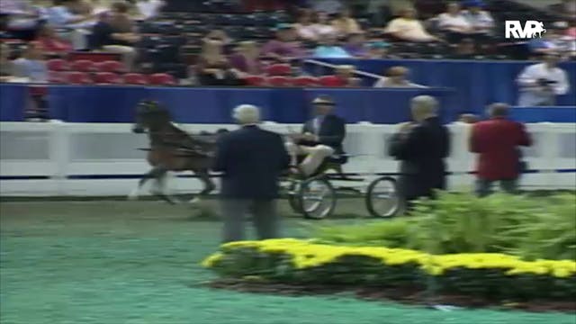 2000 WCHS Class 183 Junior Harness Po...