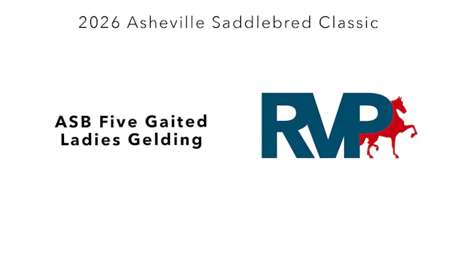 ASC26 - Class 74.1 - ASB Five Gaited ...