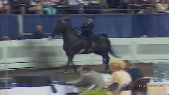 2002 WCHS Class 144 Five Gaited Pony ...