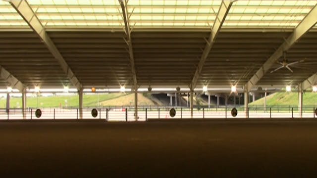 MGN16 - Sport Horse 2 - Monday Afternoon