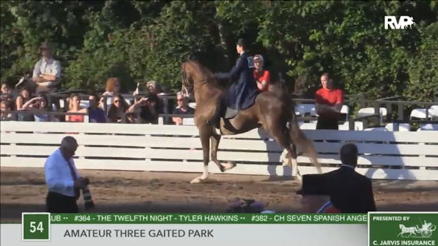 2016 RC - Class 54 Amateur Three Gait...