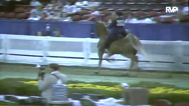 1991 WCHS Class 49 Equitation Open Ri...