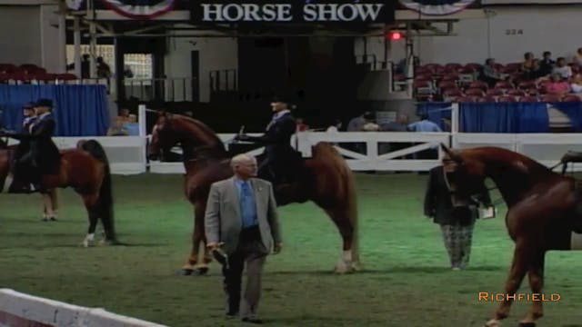 2002 WCHS Class 38 Saddle Seat Equita...