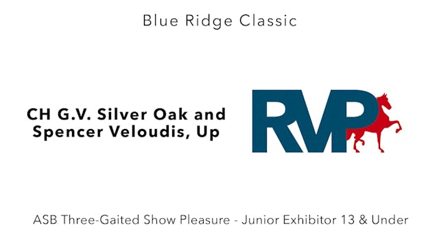 BR24 - Class 10.1 CH G.V. Silver Oak ...