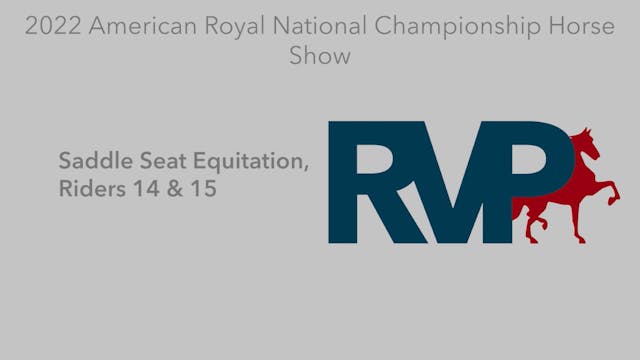 AR22 - Class 136 - Saddle Seat Equita...