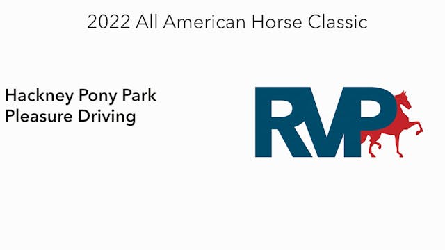 AAC22 - Class 71 -  Hackney Pony Park...