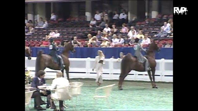 1998 WCHS - Class 72 Equitation Open ...