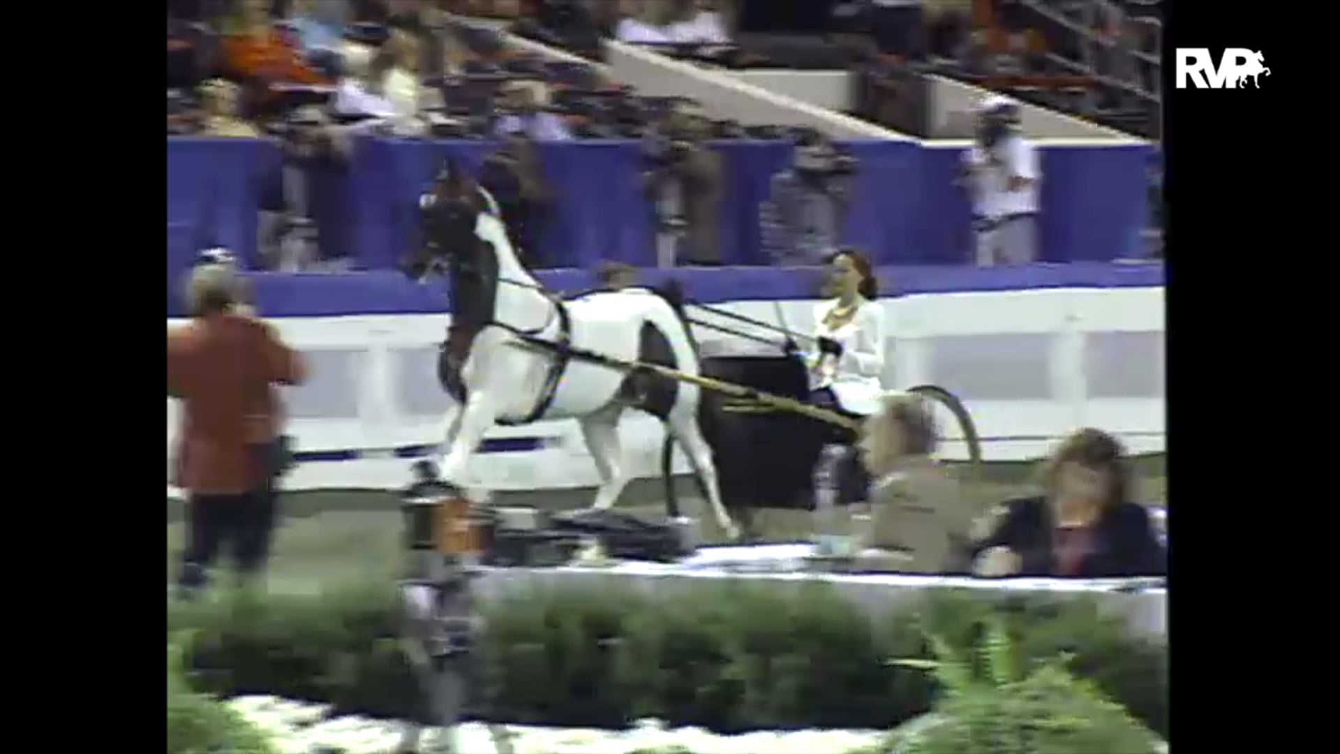 1997 WCHS - Class 192 ASB Country Pleasure Driving
Championship