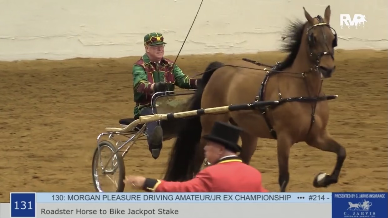 BB21 - Class 131 - Roadster Horse to Bike Stake