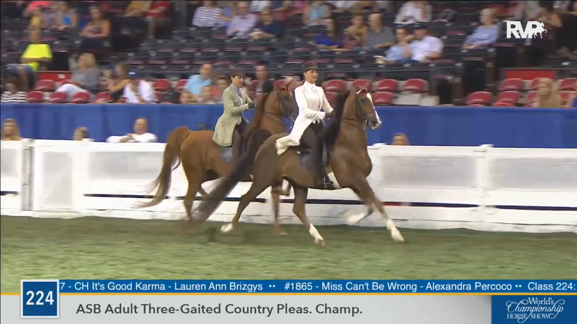 2016 WCHS - Class 224 ASB Adult Three Gaited Country Pleasure Championship