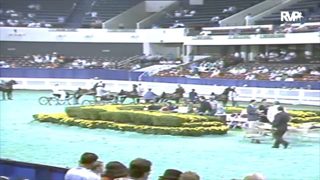 1991 WCHS Class 29 Amateur Harness Pony