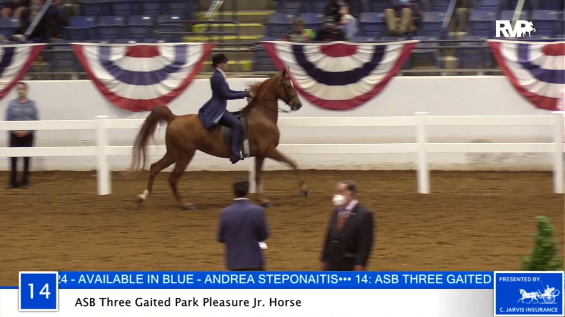 2020 BB - Class 14 ASB Three Gaited Park Pleasure
Junior Horse