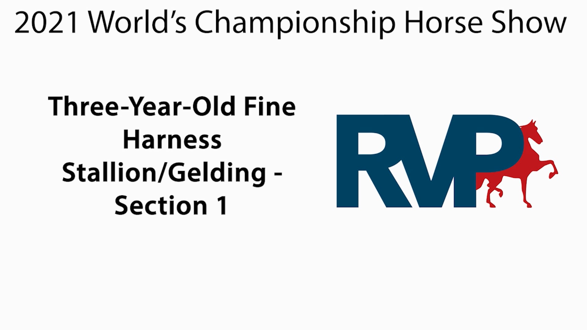 WCHS21 - Class 223 - Three-Year-Old Fine Harness Stallion Gelding Section 1